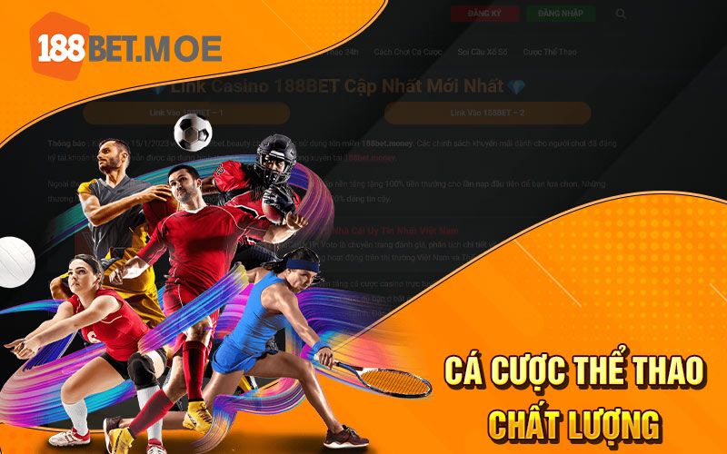 Cá cược thể thao chất lượng